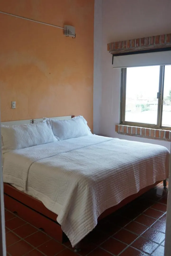 Beautiful Local Apartment With Ocean View & Rooftop Terrace Puerto Vallarta Mexico
