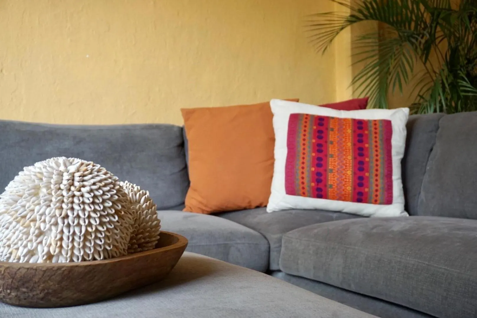 Beautiful Local Apartment With Ocean View & Rooftop Terrace Puerto Vallarta Mexico